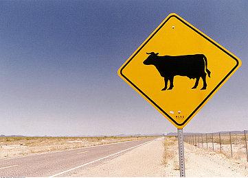 《林间小世界》5月30日发布试玩 治愈系建设经营